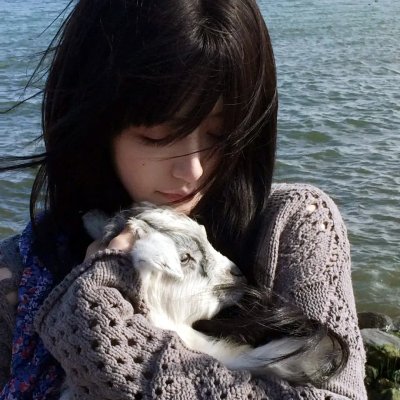 好莱坞,我爱你